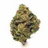 Buy RS11 x Banana OG Hemp Flower Online USA